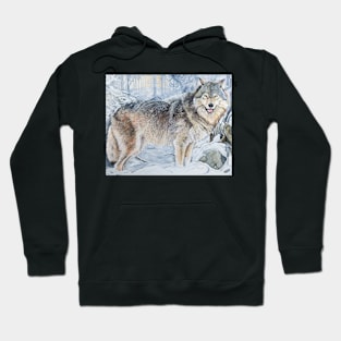 'The Encounter' Hoodie